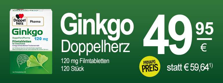Ginkgo - Elmshorn